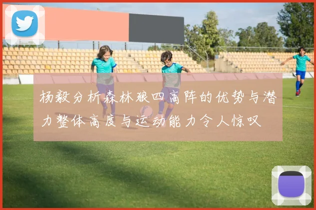 杨毅分析森林狼四高阵的优势与潜力整体高度与运动能力令人惊叹